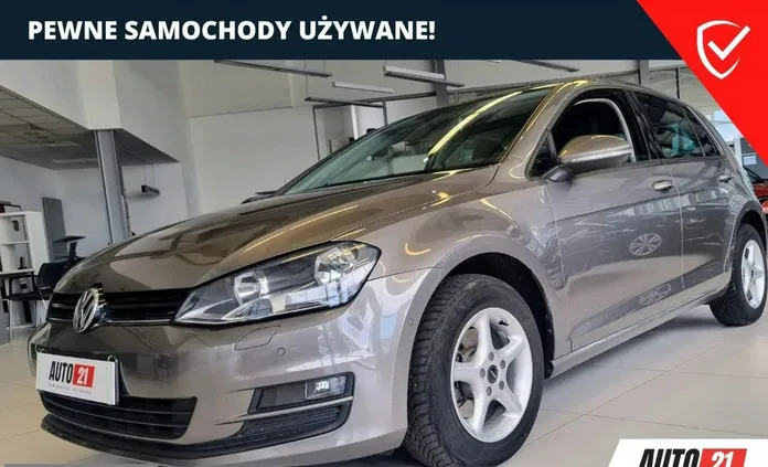 volkswagen golf Volkswagen Golf cena 41000 przebieg: 171900, rok produkcji 2013 z Konin